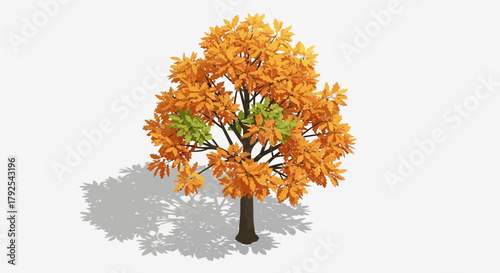 Stylized Autumn Tree with Golden and Green Leaves Isolated on White