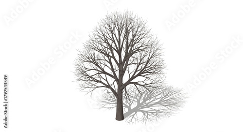 Vector illustration of a bare tree silhouette with detailed branches
