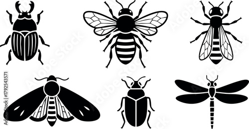 Six black insect silhouettes including beetle bee wasp moth and dragonfly vector illustration for design and nature projects