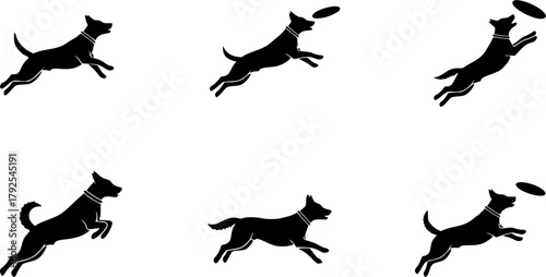 Frisbee dog silhouette, Frisbee dog, Frisbee dog catching silhouette, Jumping frisbee dog, Dog, Jumping dog, Jumping dog silhouette