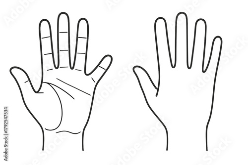 Simple outline of two human hands displaying the palm with chiromancy lines and the back view
