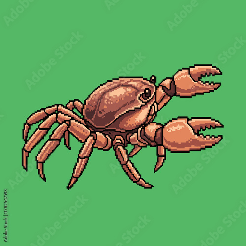 Detailed pixel art illustration of a brown crab with large claws on a solid green background, showcasing its intricate design.