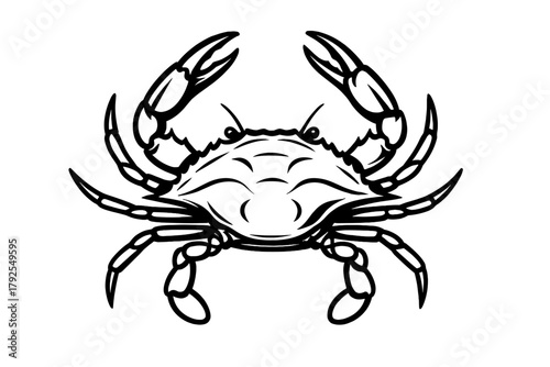 Powerful marine crab raising its large claws in a detailed black outline drawing