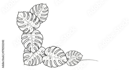 Minimalistic Corner Frame with Monstera Leaves Outline for Creative Design