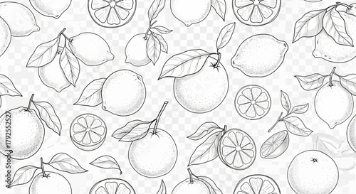 Monochrome Citrus Pattern Background with Lemons, Oranges and Leaves Sketch