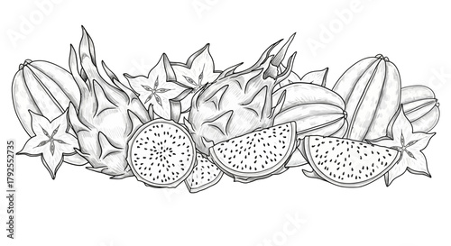 Monochrome line art of exotic fruits composition in elegant arrangement