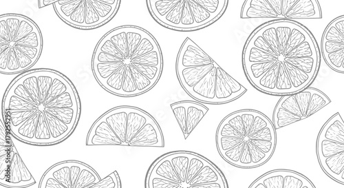 Monochrome seamless citrus slice pattern with vintage drawing style