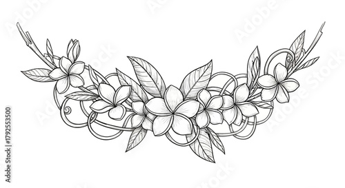 Plumeria floral sketch arrangement, detailed monochrome illustration art