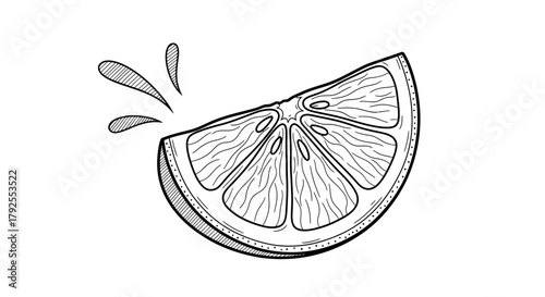 Refreshing citrus slice outline illustration with juice drops effect