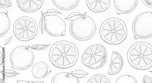 Seamless pattern with hand drawn monochrome citrus fruit sketches design