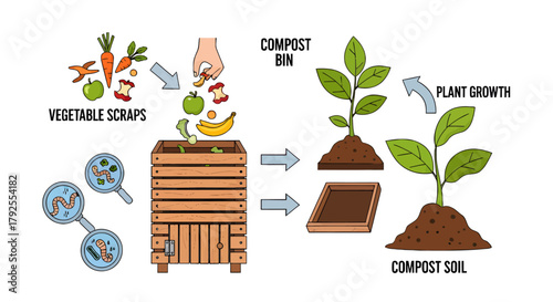 Composting Process Illustration Vegetable Scraps to Plant Growth