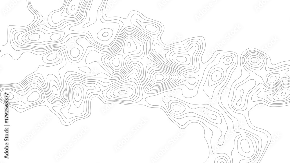 Fototapeta premium topographic map , abstract height lines vector. topographic map ,vector , abstract height lines on white background