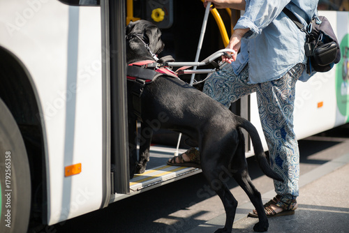 a black labrador retriever blind guide assistance dog walking with a woman holding a white cane in a city getting on a bus