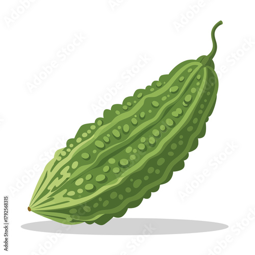 Illustration of Fresh Green Bitter Melon Isolated on White Background