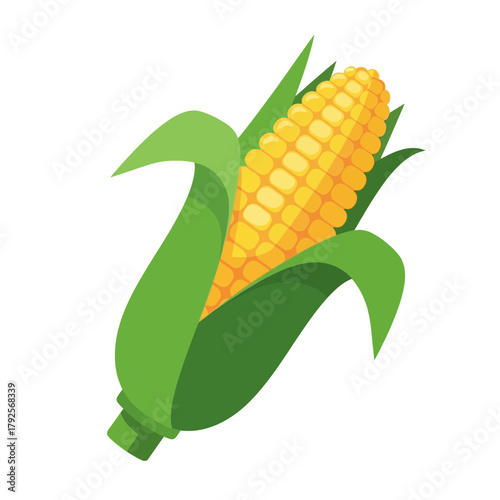 Illustration of sweetcorn cob with green husk, isolated on white background