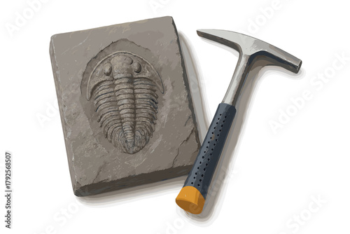 Trilobite fossil impression in gray slate rock displayed next to a geological hammer on white background
