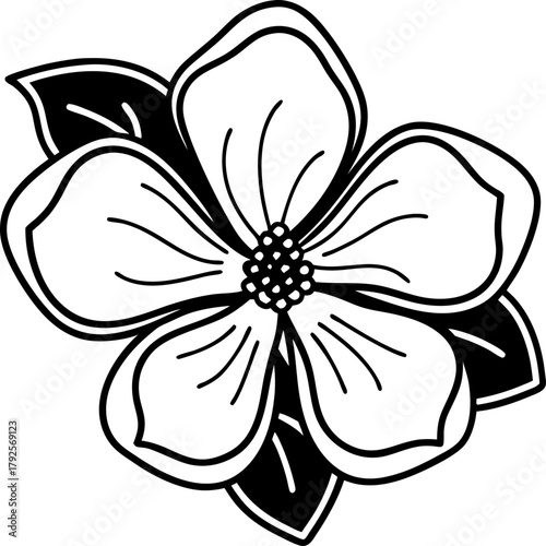 Hand drawn dogwood flower illustration in black and white simple floral line art with five petals, central stamens, and leaves