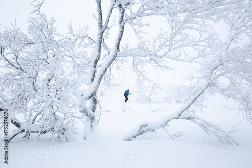 Laponie et sport outdoor