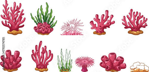 Colorful coral and sea plant icon set, vector illustration for underwater biodiversity, marine life, and ocean habitat concept