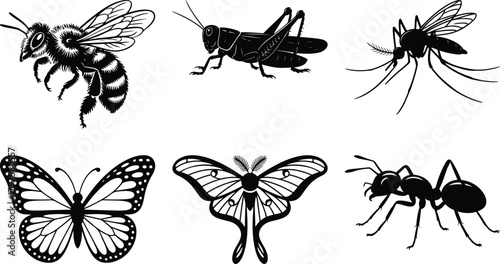 Collection of six black and white insect silhouettes