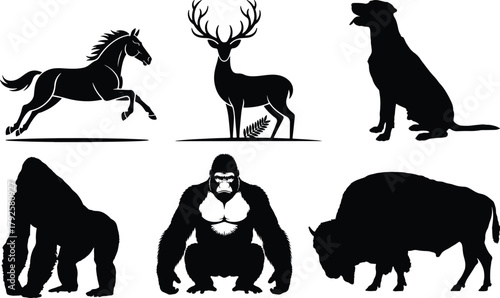 Silhouettes of various animals in a grid layout