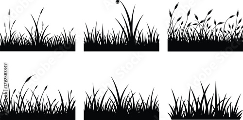 Silhouettes of various wild grasses and reeds against a white background