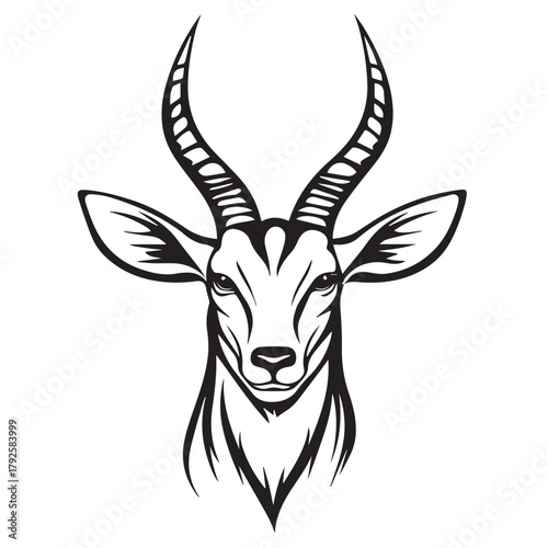 head of a antelope