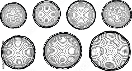 Tree trunk cross section rings, wood texture pattern vector illustration, annual growth rings background, natural timber round slice silhouette for design
