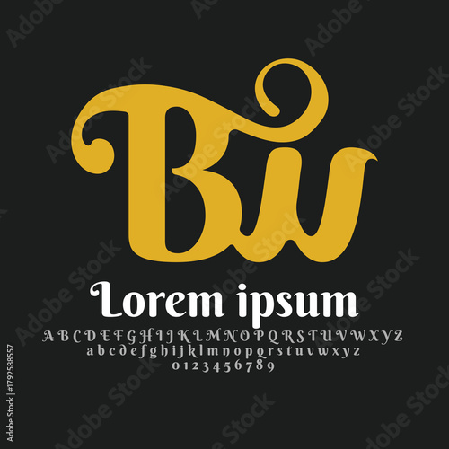 Initial letter BW Logo Design, with Alphabet Premium Business logo Boutique Designs
