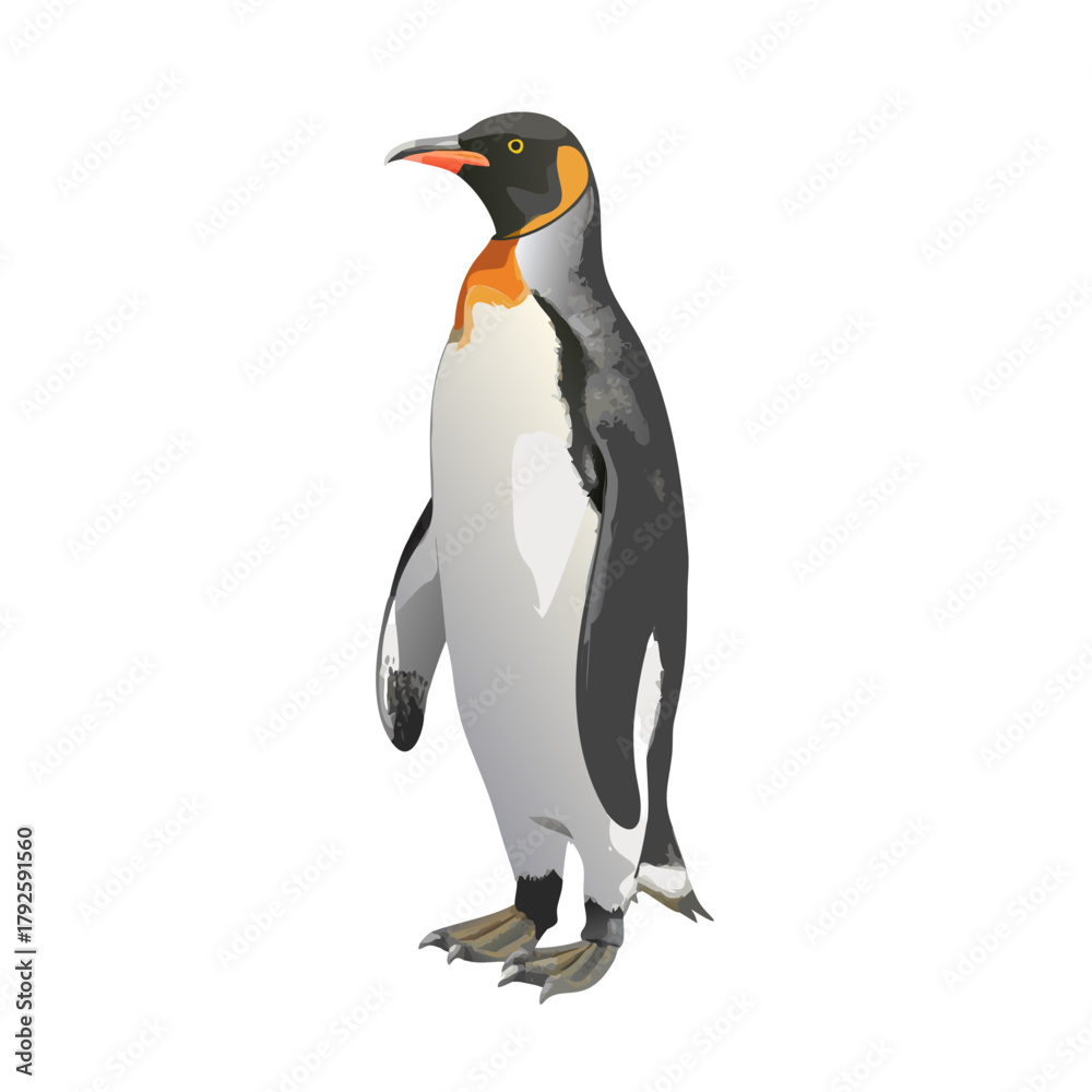 Obraz premium Isolated emperor penguin, a black and white polar bird, on a clean white background