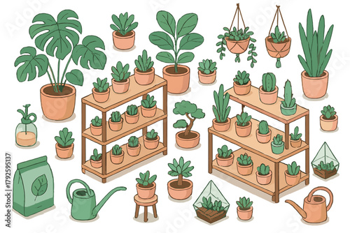 Collection of potted houseplants, succulents, cacti, and gardening tools on wooden shelves