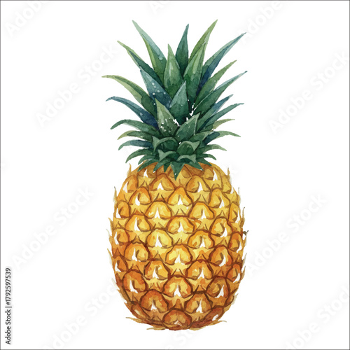 Watercolor Pineapple on White Background, Realistic Hand Painted Tropical Fruit Illustration
