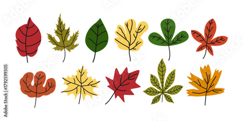 Abstract bright leaves of various shapes and colours. Autumn season cartoon doodle elements collection. Botanic fall season hand drawn doodle tree leaves set for seasonal design and holidays
