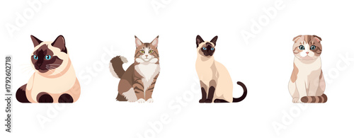 Illustration of four different cat breeds on a white background