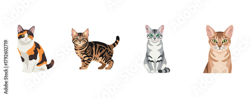 Illustration of four diverse cat breeds with unique patterns and colors