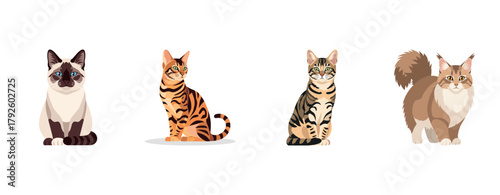 Illustrated variety of cat breeds on white background