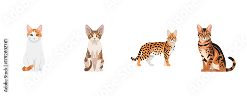 Illustration of diverse cat breeds in various poses on a white background