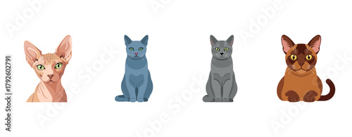 Illustration of diverse cat breeds showcasing sphynx, russian blue, chartreux, and burmese