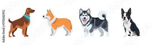 Illustration of four distinct dog breeds: spaniel, corgi, husky, and boston terrier