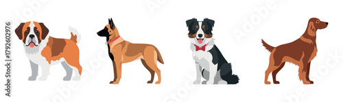 Illustrated portraits of four distinct dog breeds in profile view