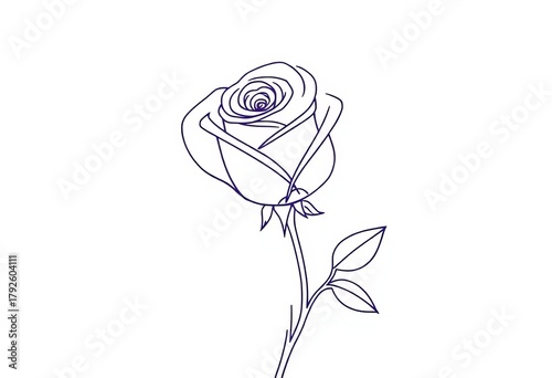 Simple line drawing of a rose, elegant and minimal design,  design,  petal