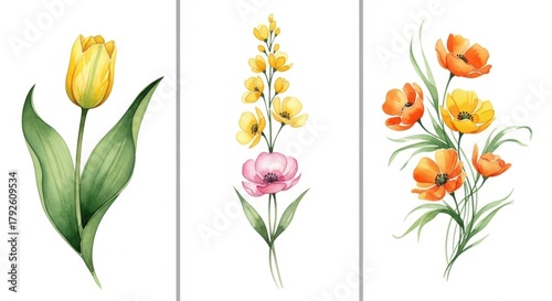 Wallpaper Mural Watercolor floral arrangement with tulip, poppy, and snapdragon Torontodigital.ca