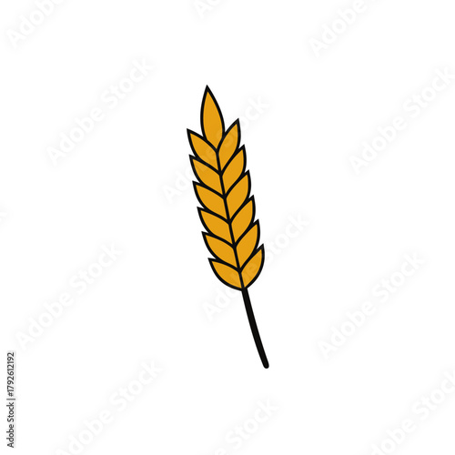 Illustration of wheat stalk on transparent background