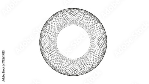 Intricate black and white wireframe torus or ring structure on a clean white background.