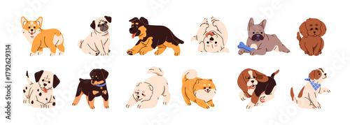 Set of cute puppies. Funny pups of different breeds. Happy baby dogs: French bulldog, corgi, pug, dalmatian, spitz, poodle and German shepherd. Flat isolated vector illustrations on white background.