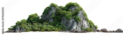 Lush island, rocky outcrop