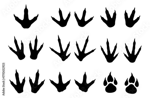 Collection of black animal track silhouettes including bird, reptile, and mammal paw prints
