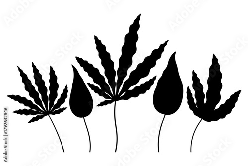 Set of black cannabis leaf silhouettes, various marijuana and hemp plant shapes, botanical icon collection