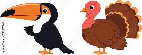 Toucan and turkey cartoon illustration, vector artwork for animal comparison, children’s education, and bird species identification concept