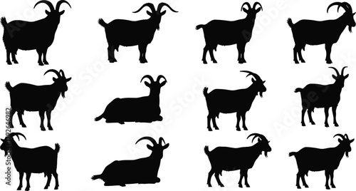 Goat silhouettes in various poses and horn styles, perfect for farm animal design, wildlife illustration, livestock icon, and nature themes.